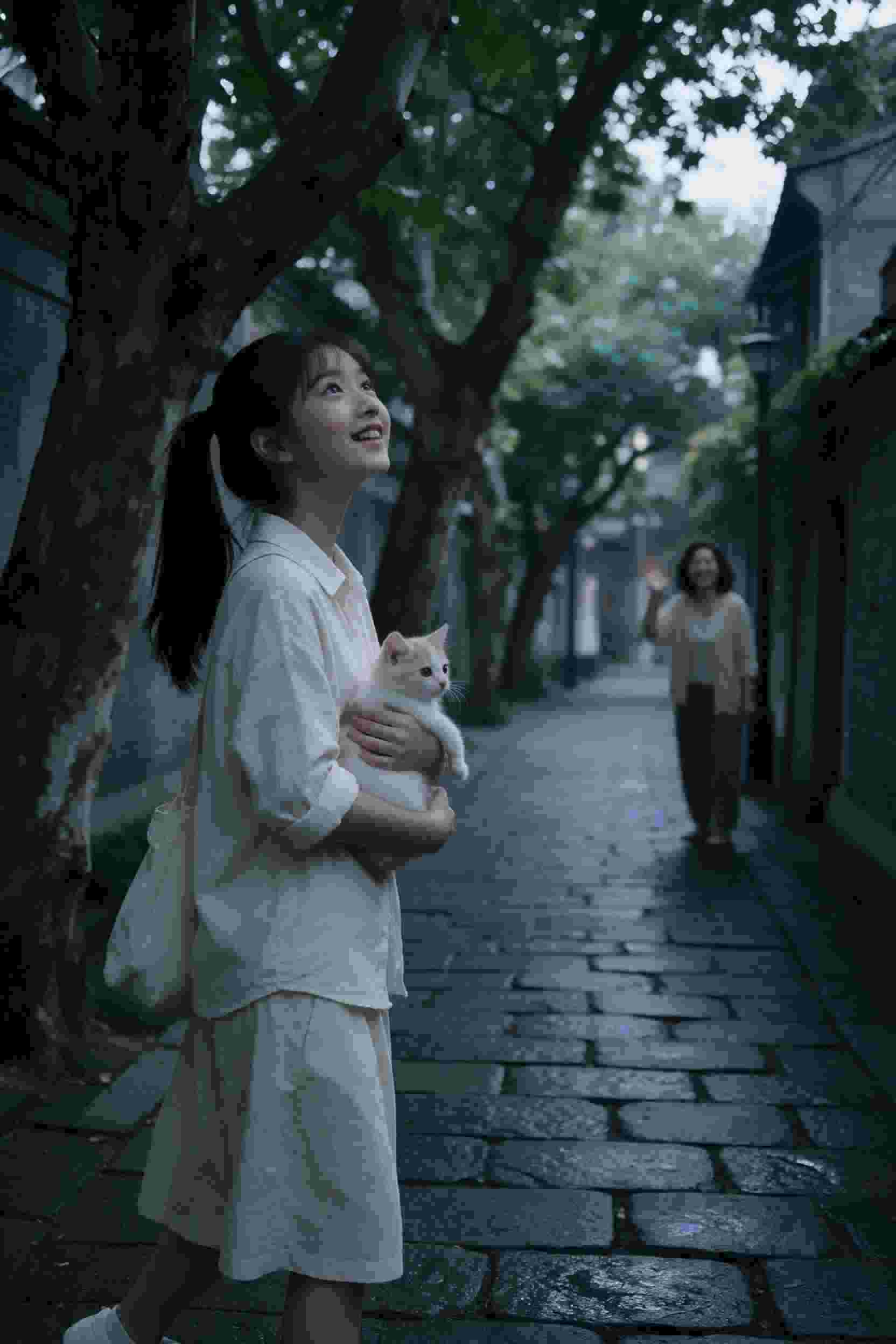 职场剧